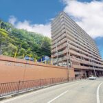 アズ・アドバン，リーヴァ